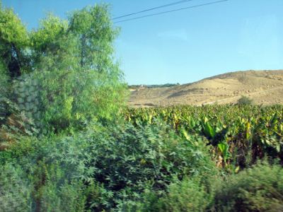 Kudüs Gezisi (1432-2011) Amman - 1, fotoğraf 18