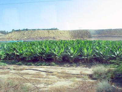 Kudüs Gezisi (1432-2011) Amman - 1, fotoğraf 19