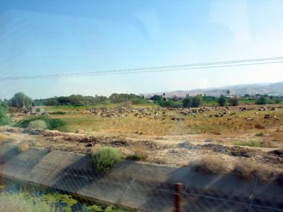 Kudüs Gezisi (1432-2011) Amman - 1, fotoğraf 26