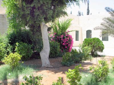 Kudüs Gezisi (1432-2011) Amman - 2, fotoğraf 2