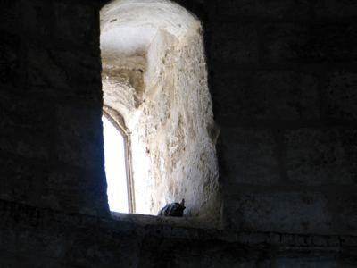 Kudüs Gezisi (1432-2011) Kudüs -5, fotoğraf 13